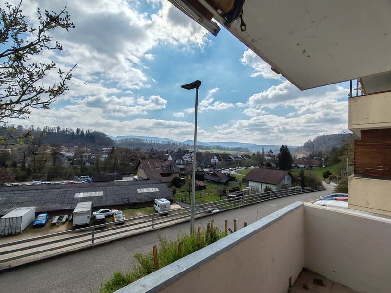 Wir vermieten ab sofort eine helle und grosszügige 4-Zimmer-Wohnungin ruhiger Lage in Zwingen (11)