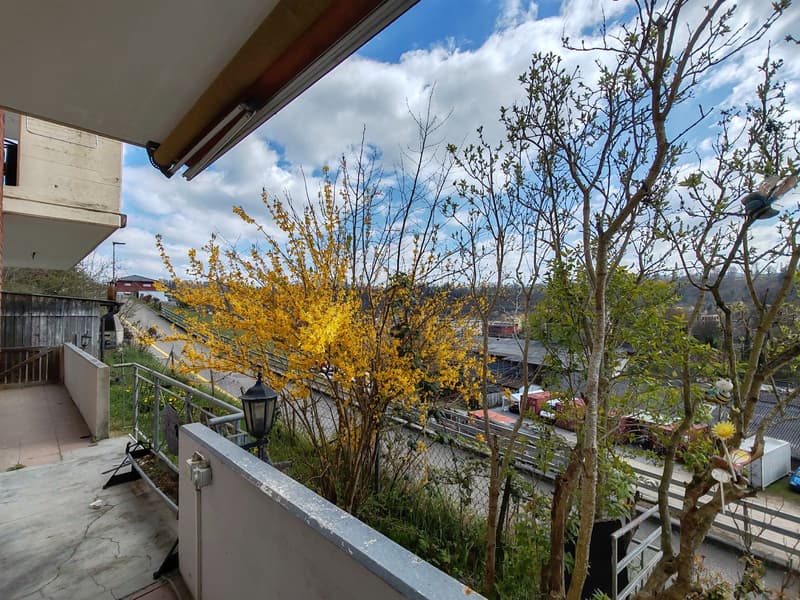 Wir vermieten ab sofort eine helle und grosszügige 4-Zimmer-Wohnungin ruhiger Lage in Zwingen (12)