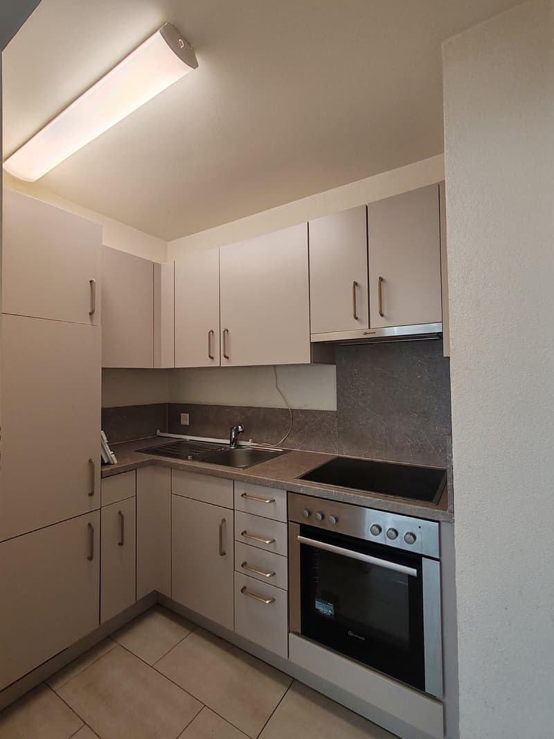Gemütliche 1-Zimmer-Wohnung an der Brombacherstrasse (2)