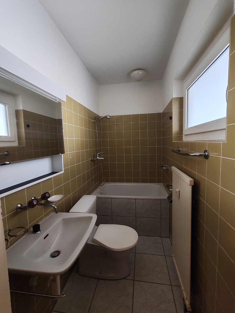 Gemütliche 1-Zimmer-Wohnung an der Brombacherstrasse (4)