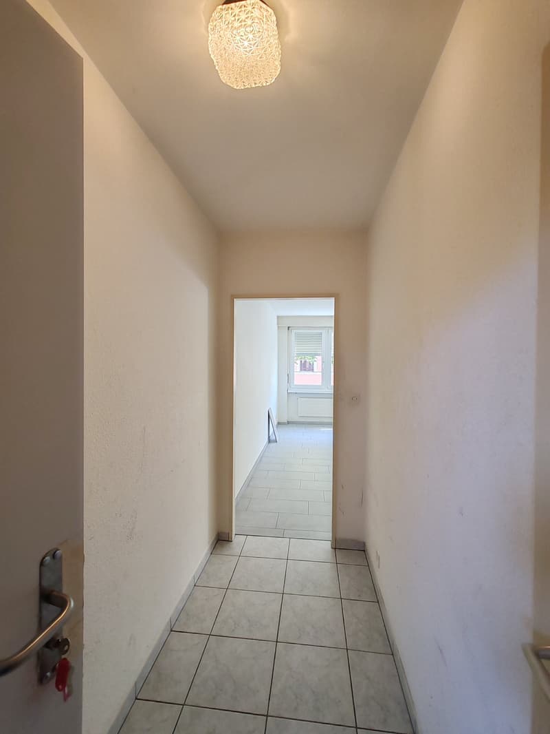 Gemütliche 1-Zimmer-Wohnung an der Brombacherstrasse (3)
