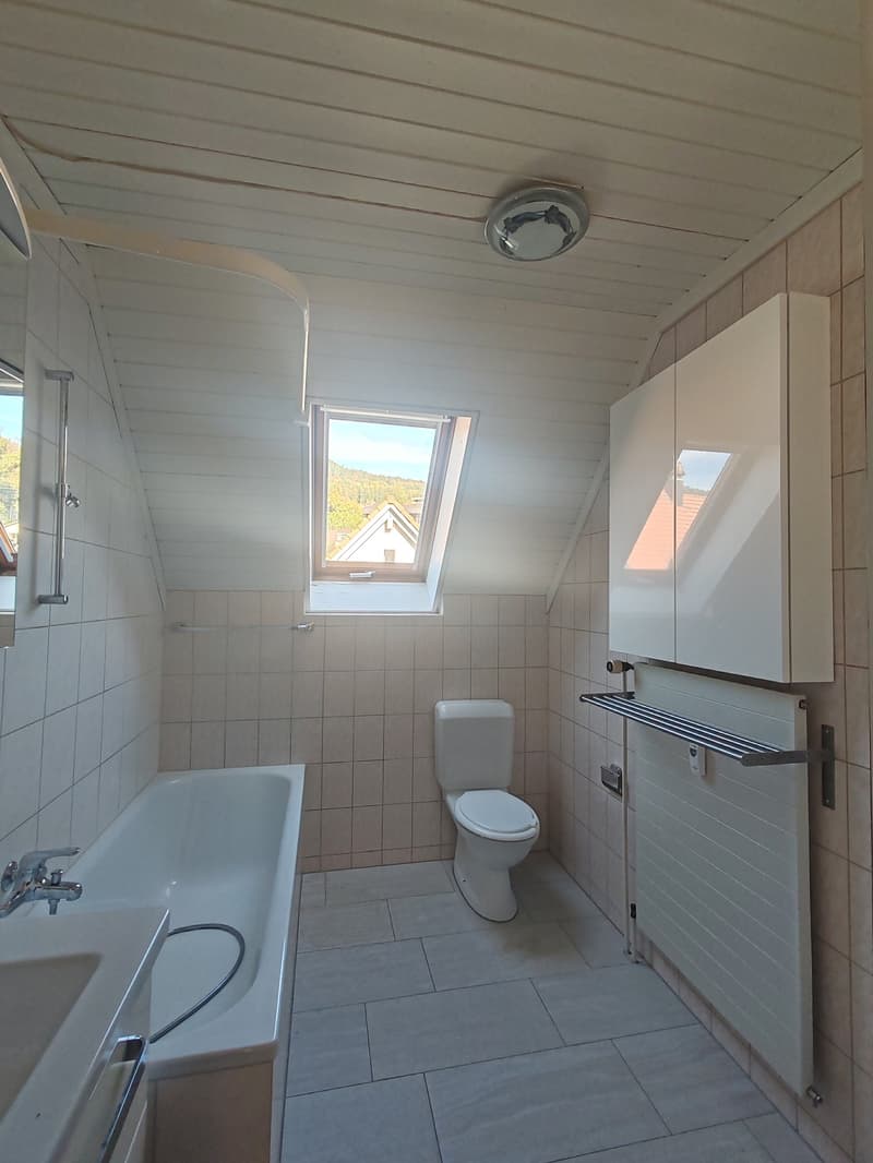 4-Zimmer-Maisonette-Wohnung  mit Blick auf die Birs (7)