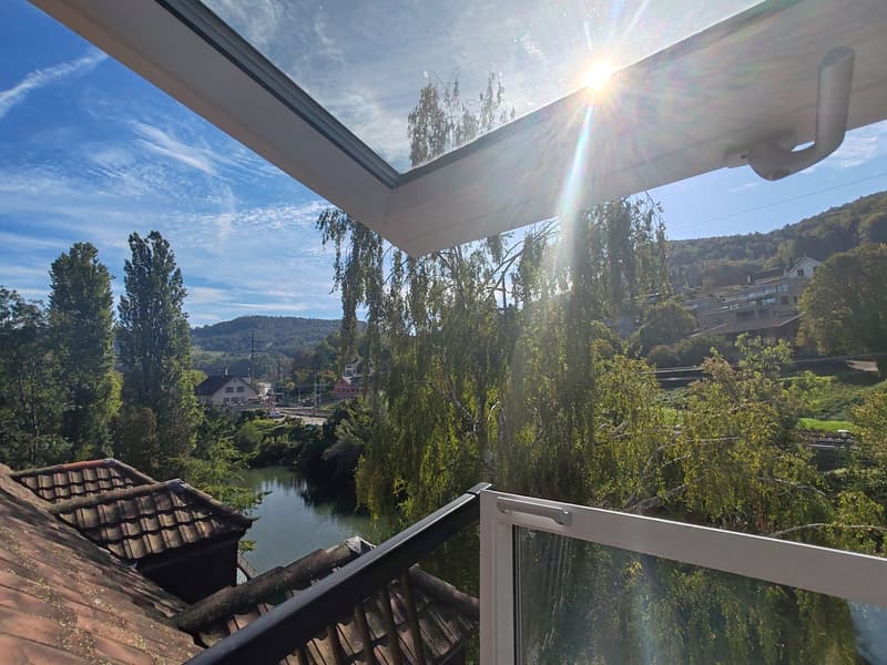 4-Zimmer-Maisonette-Wohnung  mit Blick auf die Birs (11)