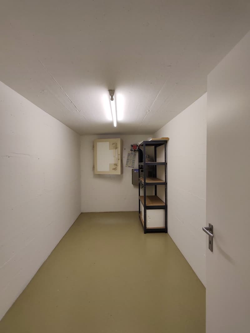 Exklusives 5½-Zimmer-Einfamilienhaus mit Garten, Balkon und Garage in Arlesheim (20)