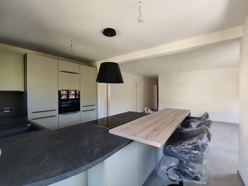 Erstbezug nach umfassender Renovation – Helle 4.5-Z.-Wohnung mit unverbaubarer Aussicht (3)