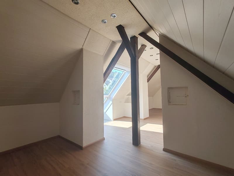 Frisch renovierte 4-Zimmer-Maisonette mit Birsblick in Grellingen (7)