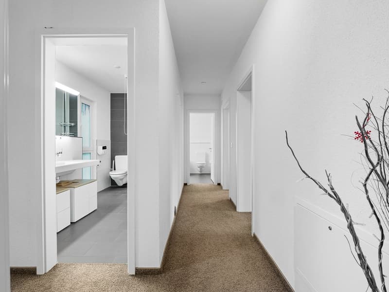 White walls, brown carpet, a white bathroom with shower and toilet
