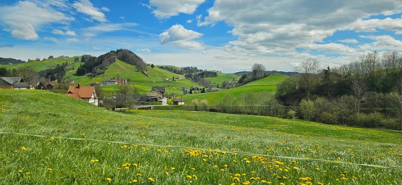 Historic Appenzeller house (Gasthaus Linde) in the heart of the village (19)