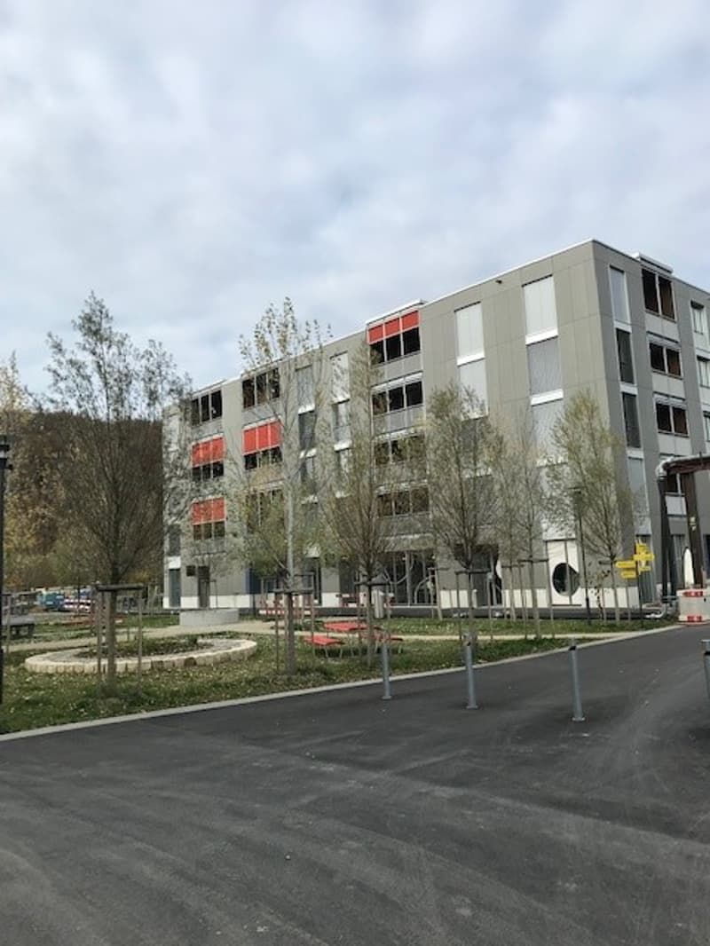 Zweitbezug: moderne 4.5 Zimmer- Maisonette Wohnung im Eigentumsstandard mit Sicht ins Grüne (15)