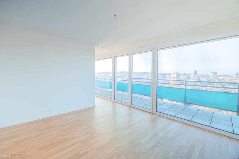 Helle 2.5-Zimmer-Wohnung mit Balkon und Stadtblick in Basel (4)