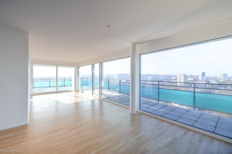 Helle 2.5-Zimmer-Wohnung mit Balkon und Stadtblick in Basel (5)