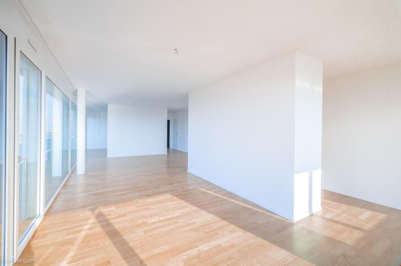 Helle 2.5-Zimmer-Wohnung mit Balkon und Stadtblick in Basel (11)