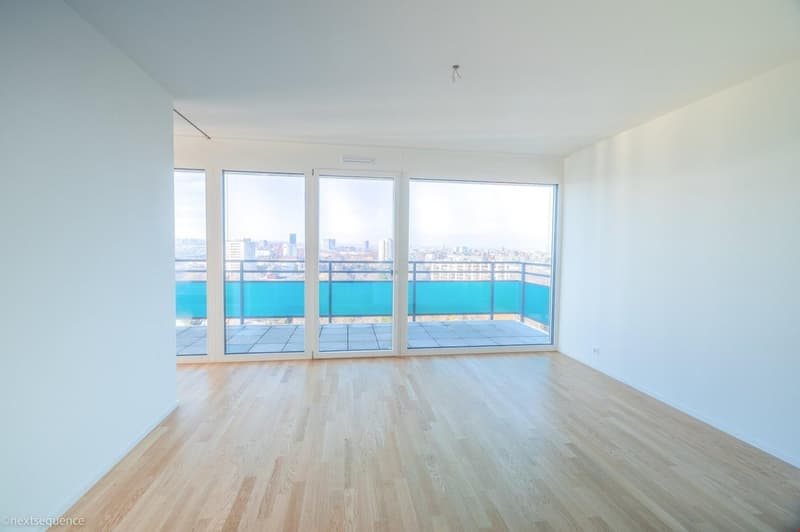 Helle 2.5-Zimmer-Wohnung mit Balkon und Stadtblick in Basel (3)
