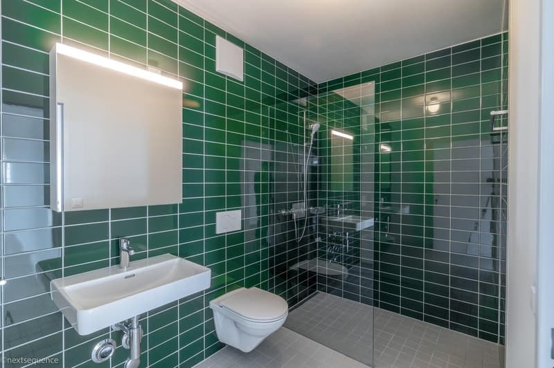 Helle 2.5-Zimmer-Wohnung mit Balkon und Stadtblick in Basel (10)