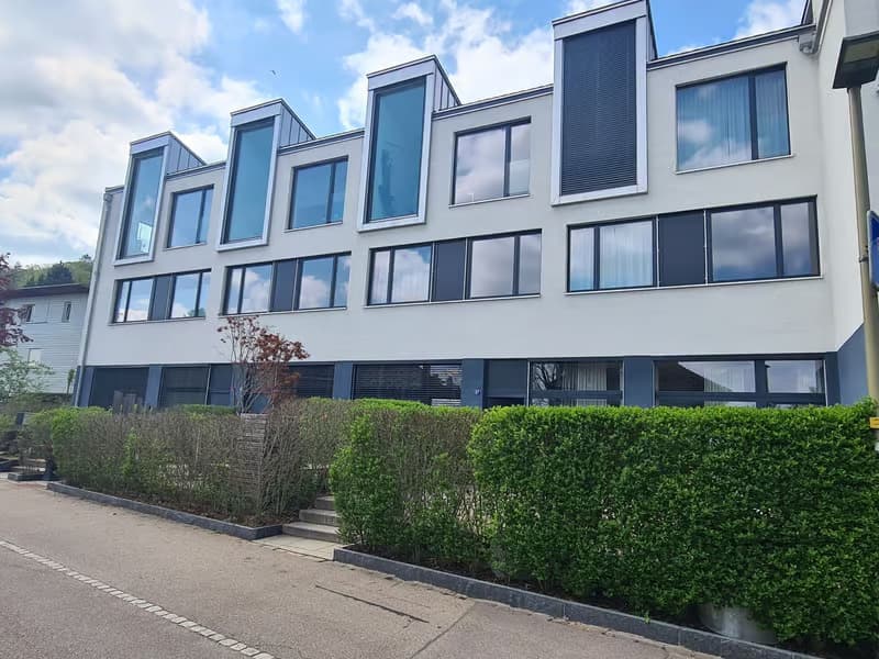 Helle 2.5-Zimmer-Wohnung mit Garage in Winterthur (2)