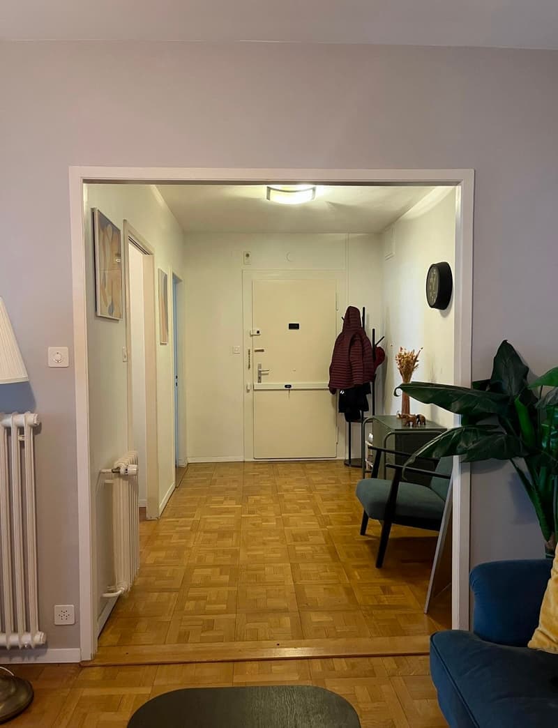 Charmant appartement de 3,5 pièces avec balcon à Genève (12)