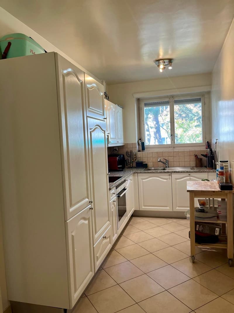 Charmant appartement de 3,5 pièces avec balcon à Genève (6)