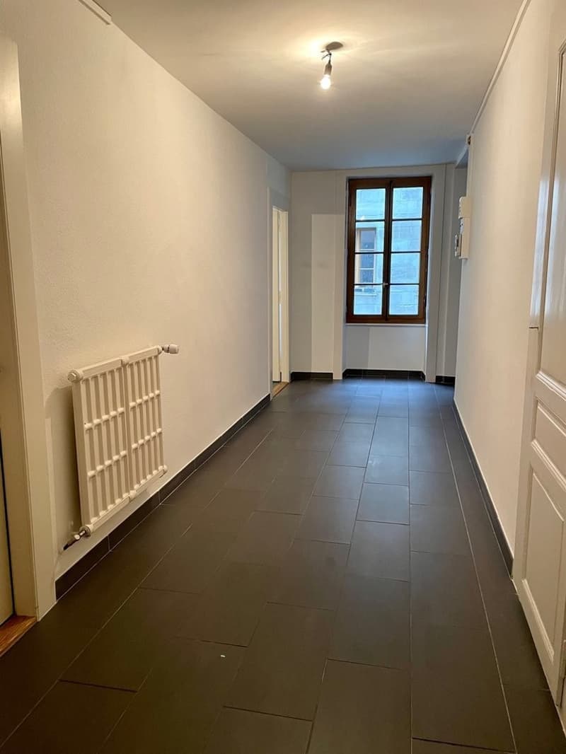Charmant appartement de 2 pièces avec balcon au cœur de Genève (7)