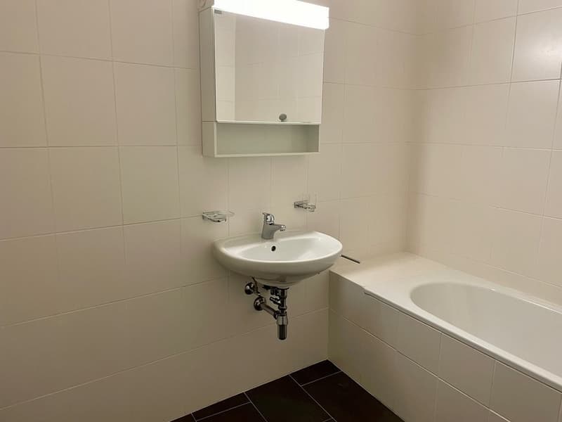Charmant appartement de 2 pièces avec balcon au cœur de Genève (3)