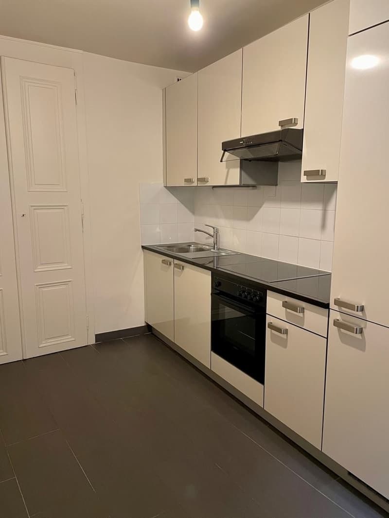 Charmant appartement de 2 pièces avec balcon au cœur de Genève (5)