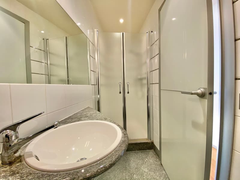 Spacieux appartement de 5 pièces avec balcon au cœur de Genève – Disponible immédiatement (7)