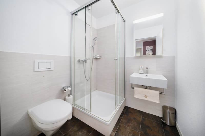 Moderne 4.5-Zimmer-Wohnung an sonniger Hanglage in Wülflingen (5)