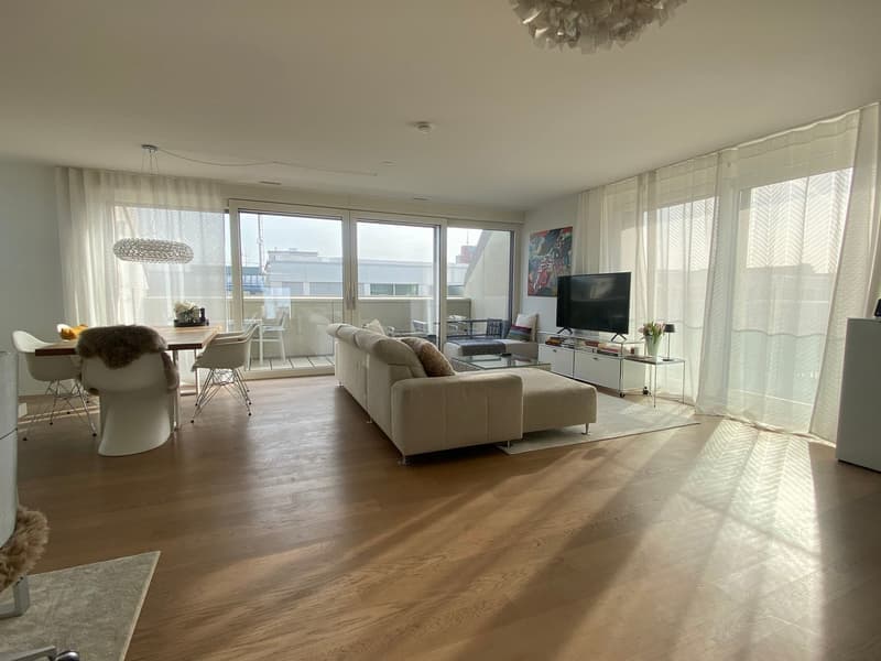 Helle 2.5-Zimmer-Wohnung mit Panoramaterrasse in Winterthur (7)