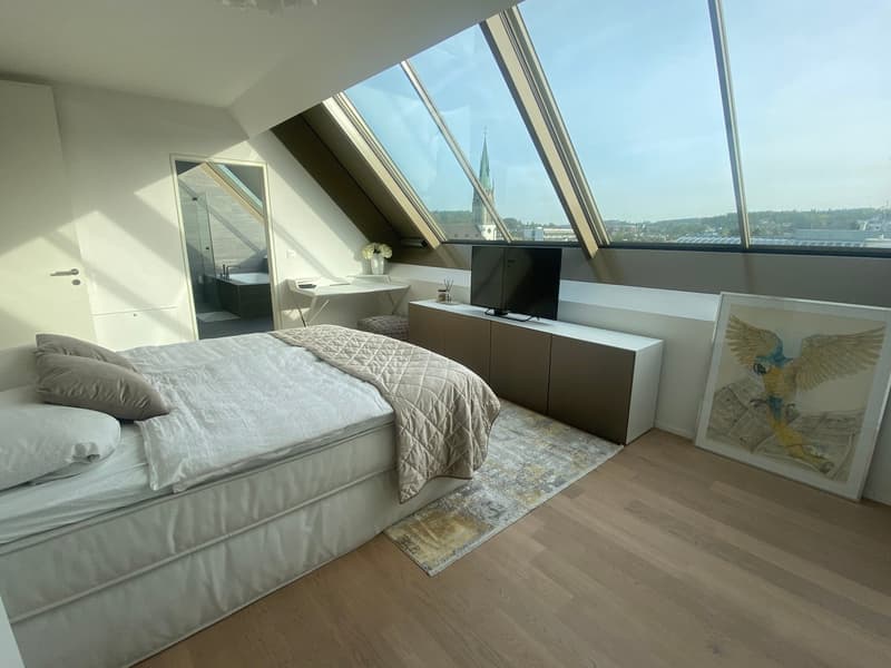 Helle 2.5-Zimmer-Wohnung mit Panoramaterrasse in Winterthur (8)