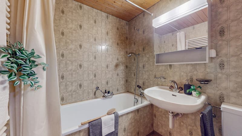 FERIENCHALET IN DEN BERNER ALPEN (6)