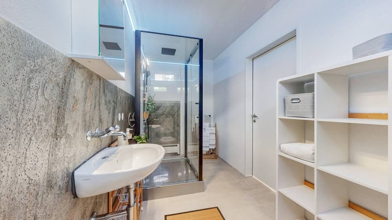 ATTRATTIVA CASA MONOFAMILIARE CON MONOLOCALE E 541 m² DI SUPERFICIE TOTALE (3)