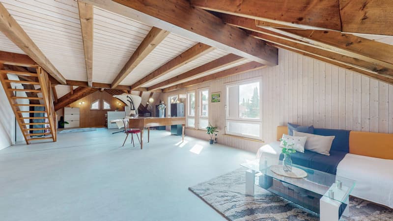 ATTRATTIVA CASA MONOFAMILIARE CON MONOLOCALE E 541 m² DI SUPERFICIE TOTALE (6)