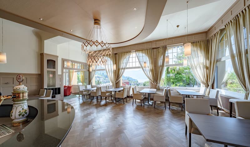 MAESTOSAMENTE SOPRA IL LAGO DI THUN - PARKHOTEL OBERHOFEN (6)