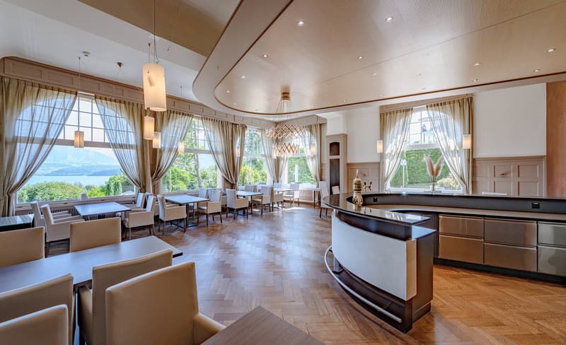 MAESTOSAMENTE SOPRA IL LAGO DI THUN - PARKHOTEL OBERHOFEN (4)