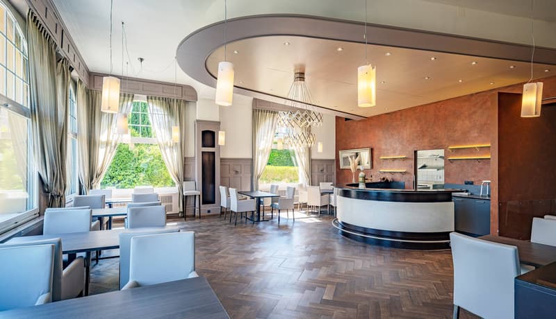 MAESTOSAMENTE SOPRA IL LAGO DI THUN - PARKHOTEL OBERHOFEN (2)