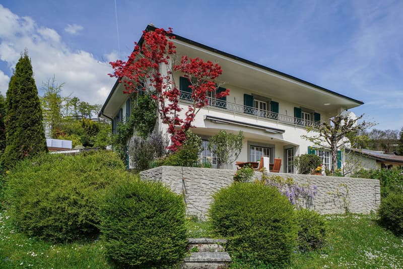 LIVING WHERE VINEYARDS AND LAKE VIEWS UNITE (1)
