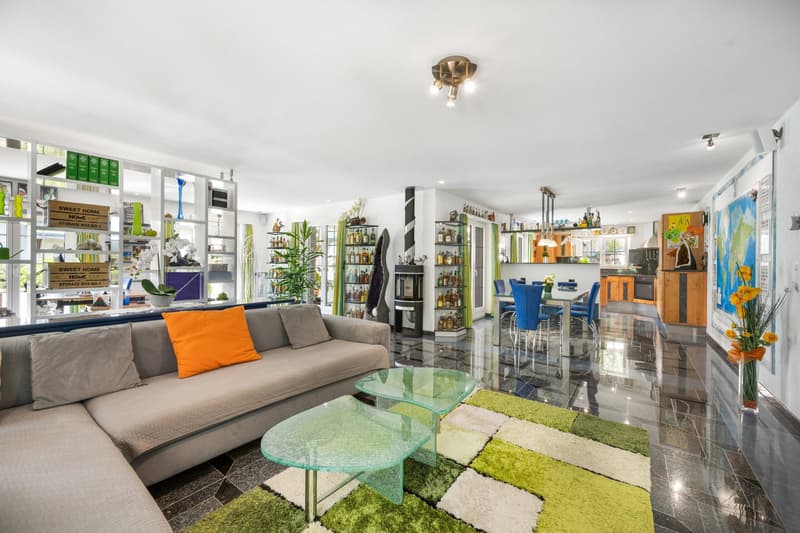 VILLA CON GIARDINO D'INVERNO, PISCINA E APPARTAMENTO PER ANZIANI (2)