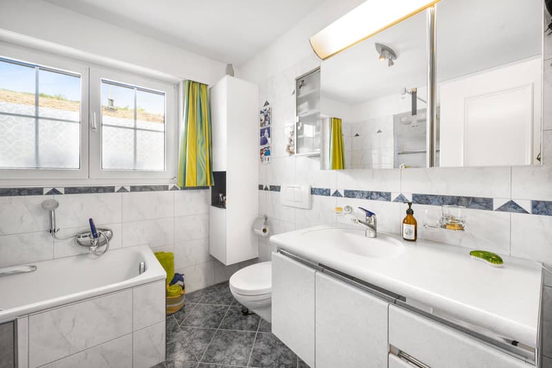 VILLA CON GIARDINO D'INVERNO, PISCINA E APPARTAMENTO PER ANZIANI (5)