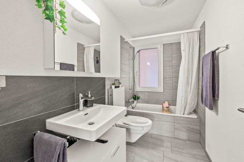 MODERN LEBEN, LÄNDLICH GENIESSEN - EIGENTUMSWOHNUNG IM WYNENTAL (6)