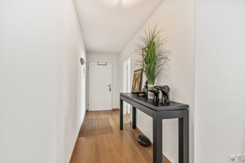 2.5 ROOM APARTMENT WITH LAKE VIEW AND TAX PRIVILEGES 1 (5)