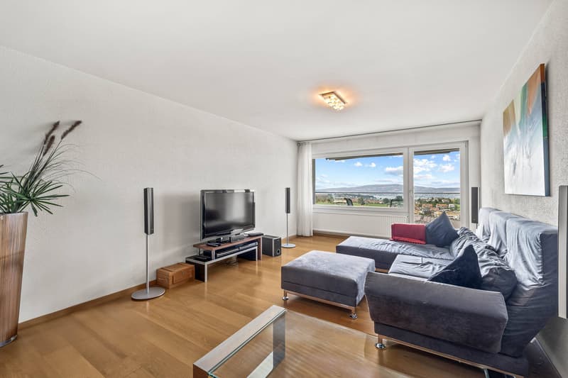 2.5 ROOM APARTMENT WITH LAKE VIEW AND TAX PRIVILEGES 1 (1)