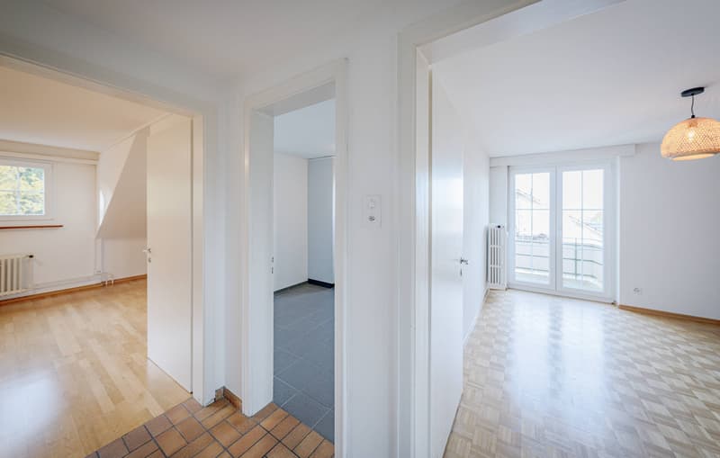 ATTRACTIVE INVESTMENT IN BRUDERHOLZ (8)