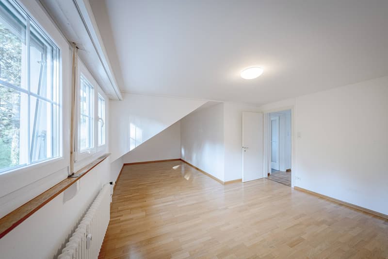 ATTRACTIVE INVESTMENT IN BRUDERHOLZ (4)