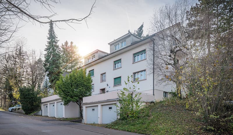 ATTRACTIVE INVESTMENT IN BRUDERHOLZ (1)