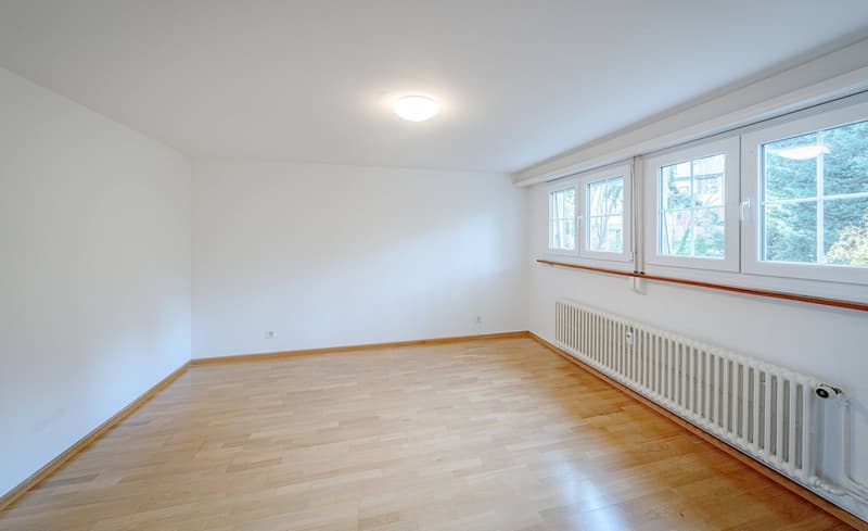 ATTRACTIVE INVESTMENT IN BRUDERHOLZ (7)
