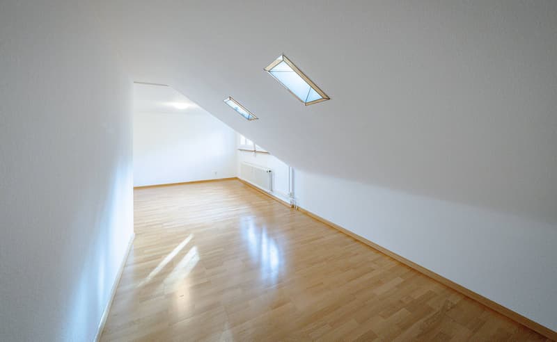 ATTRACTIVE INVESTMENT IN BRUDERHOLZ (5)