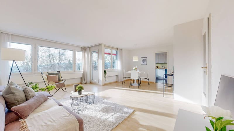URBAN LIVING, LIVING CLOSE TO NATURE - APARTMENT IN SCHAFFHAUSEN (1)