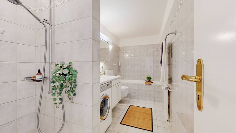 URBAN LIVING, LIVING CLOSE TO NATURE - APARTMENT IN SCHAFFHAUSEN (6)