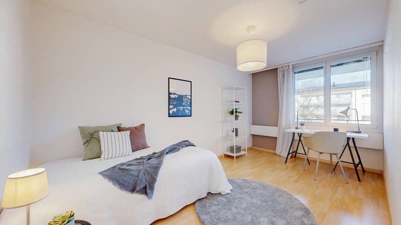 URBAN LIVING, LIVING CLOSE TO NATURE - APARTMENT IN SCHAFFHAUSEN (5)