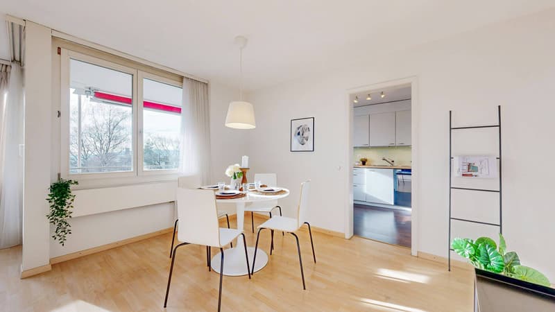 URBAN LIVING, LIVING CLOSE TO NATURE - APARTMENT IN SCHAFFHAUSEN (3)