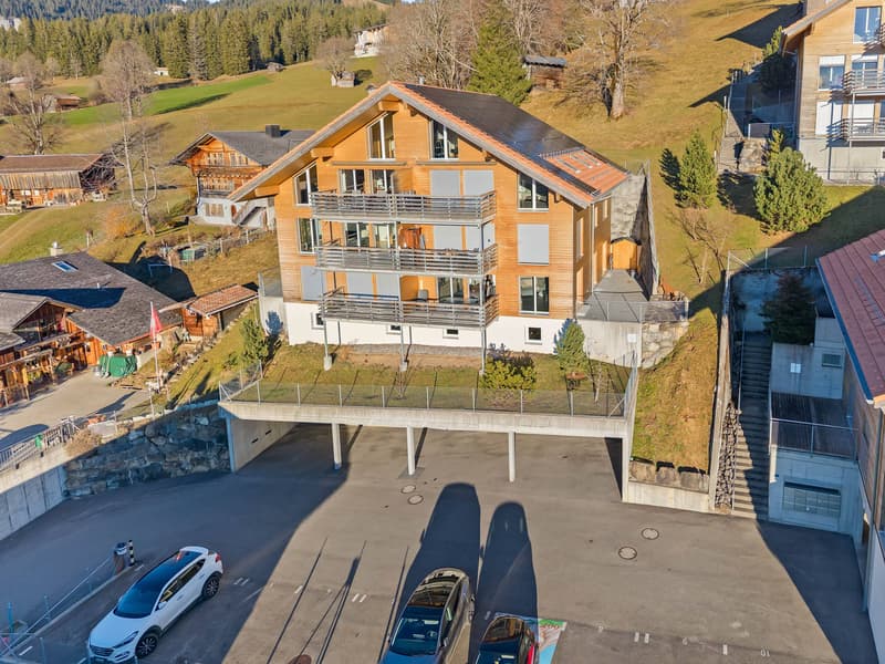 TOP OF OBERLAND : APPARTEMENT PANORAMIQUE MODERNE À BEATENBERG (7)